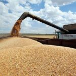 Russia, Turkey, Ukraine and the UN agreed on how to export grain from the mined ports of Ukraine